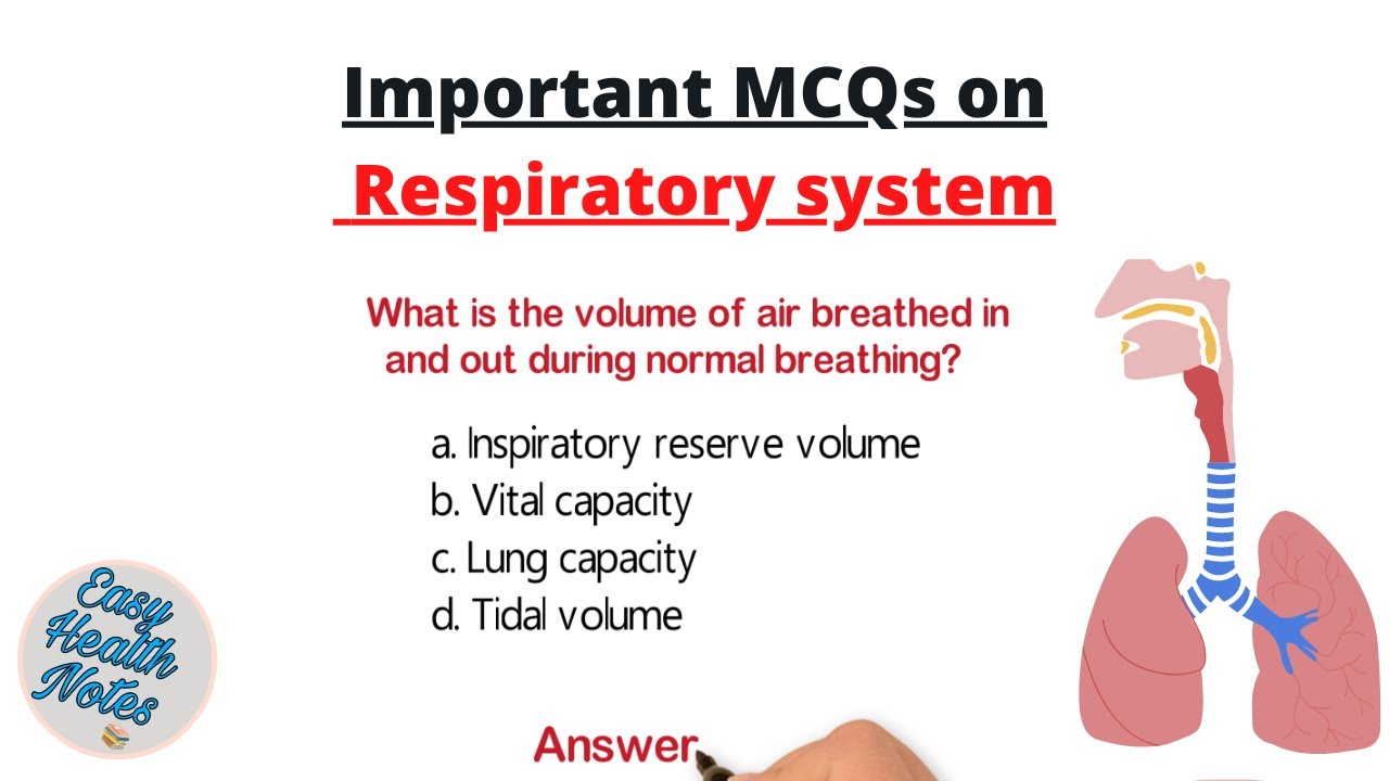 Know about the respiratory System ।। Important MCQs with answers
