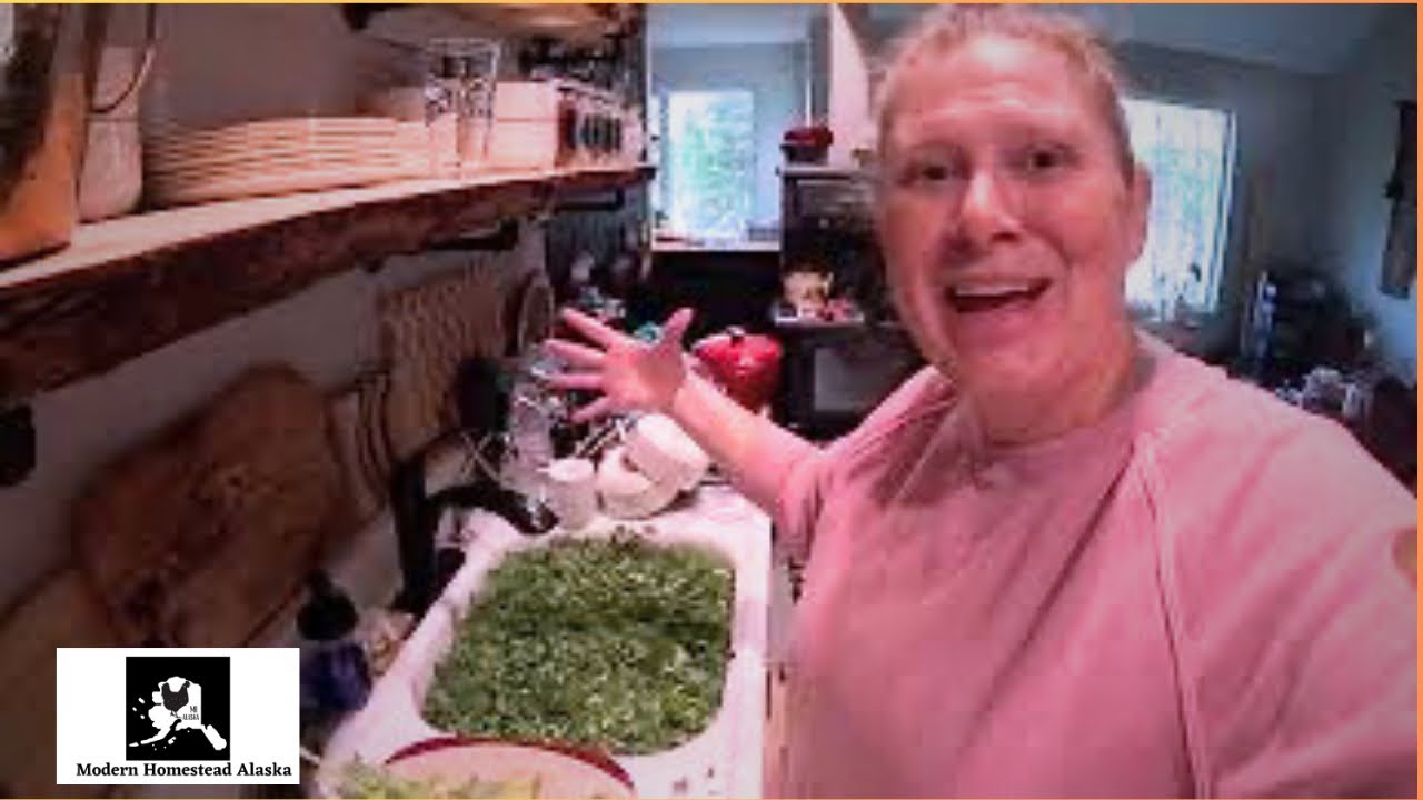 Preserving the Bounty: How to Preserve Alaska Garden Greens and Cauliflower #everybitcountschallenge