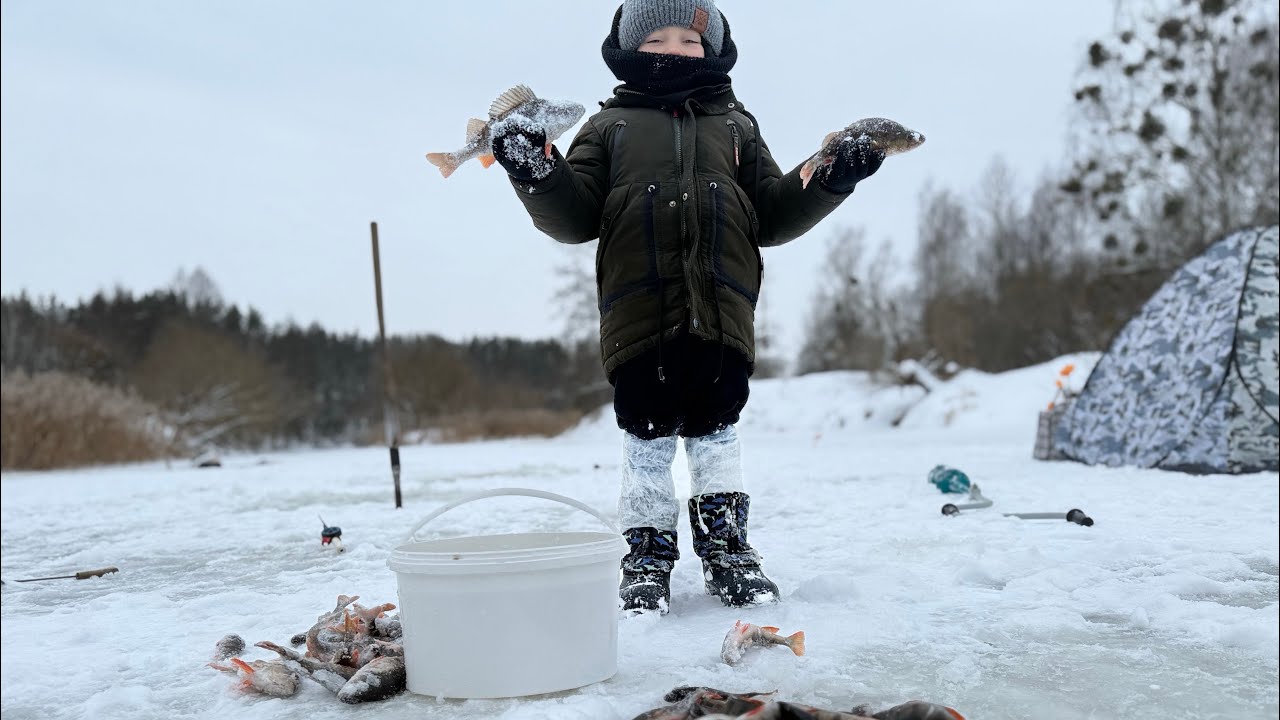 ВЗЯЛИ МАЛОГО А ВІН ОБЛОВИВ НАС! ЖЕРЛИЦІ ПОСТАВИЛИ І ПІШЛИ ШУКАТИ ОКУНЯ КЛЮВАЛО З ПАРУ ЛУНОК. 