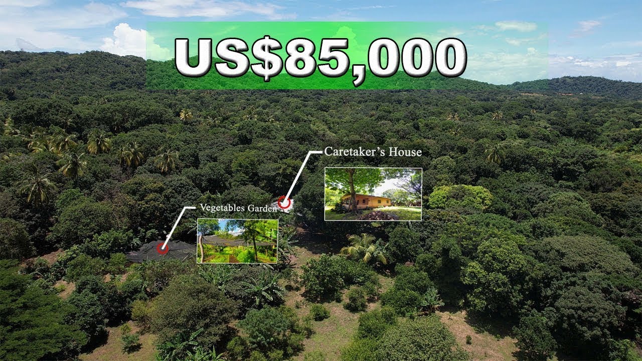 FANTASTIC DEAL! Farm with 7 ACRES near Diriomo, Granada US85000