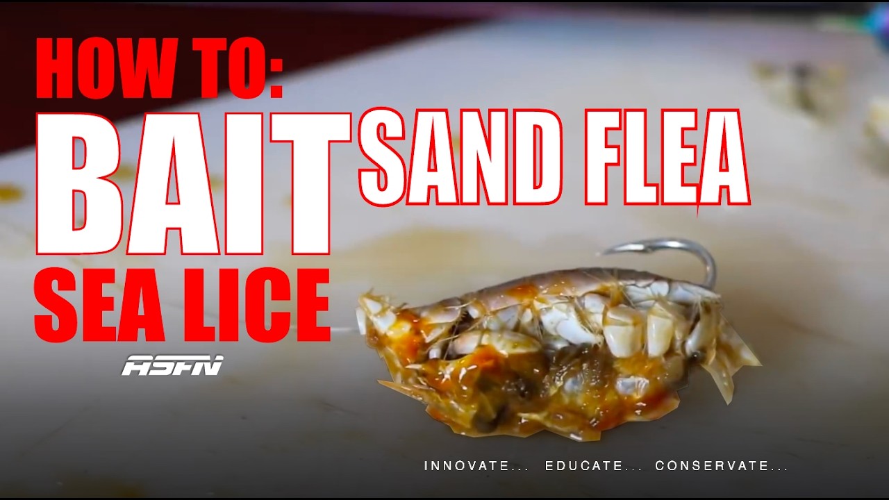 How to BAIT SAND FLEA/Sea Lice | Still the BEST Bait for Pompano | ASFN Baits & Traces