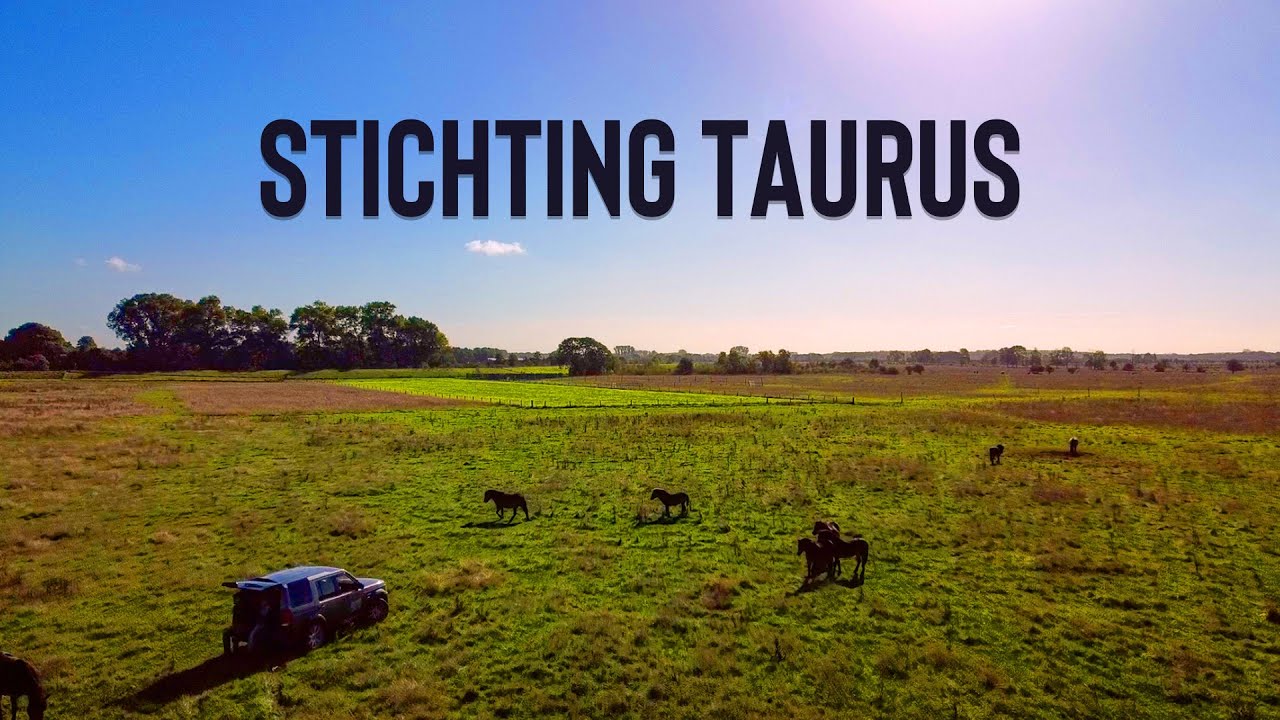 Lokale partners: Stichting Taurus