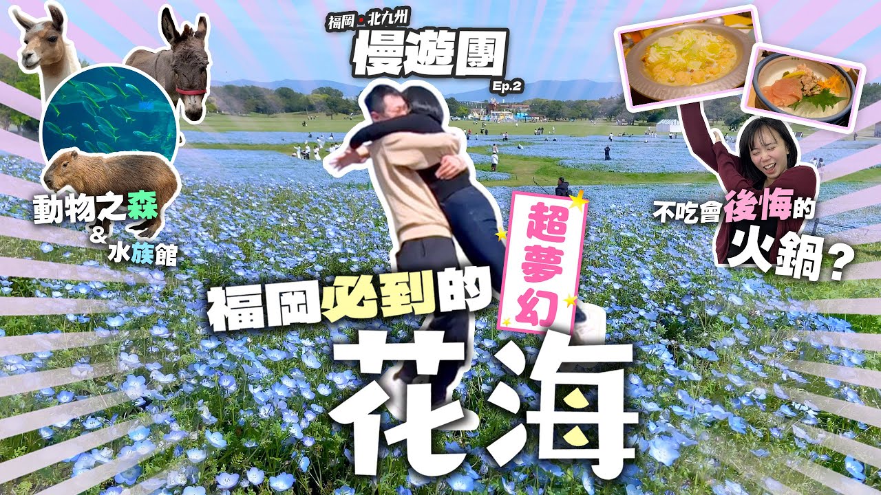 【福岡自由行】福岡必到的超夢幻花海 | 不吃會後悔的華味鳥 | 海之中道海濱公園 |福岡．北九州 慢遊團 Ep.2 | 喵兔自由行