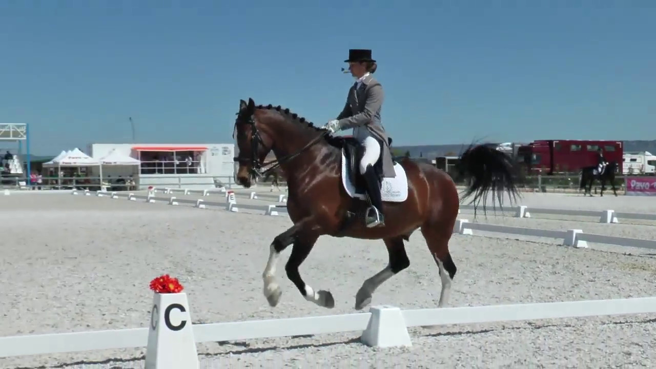 Sonsoles Roldán - Deo HPV, domingo 9. CDN 3*; 8-9042017, Las Cadenas