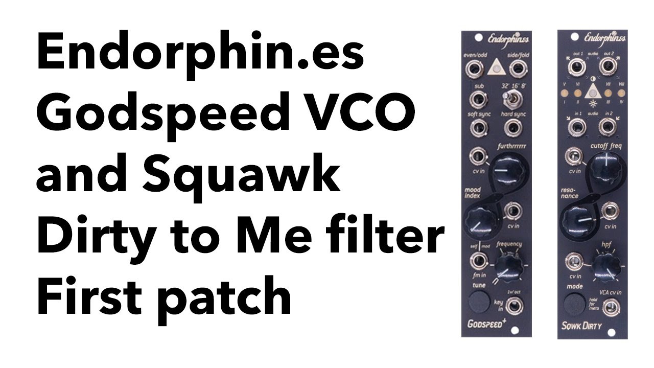 Endorphines Godspeed VCO and Squawk Dirty To Me filter - first impressions