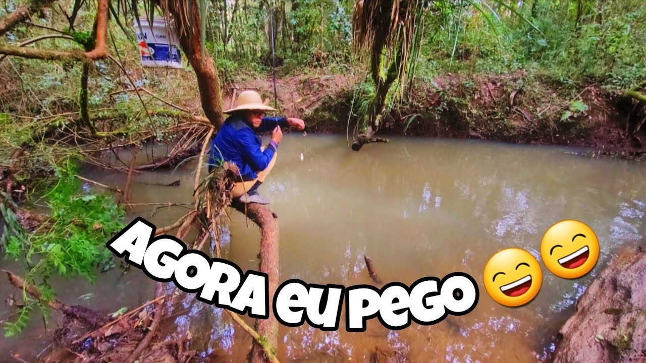 Melhor isca pra pescar lambari no inverno 