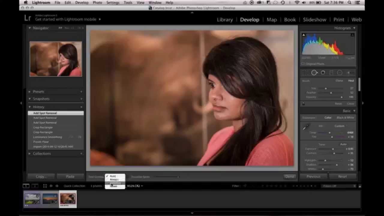 Spot Removal Tool Tutorial - Lightroom 5