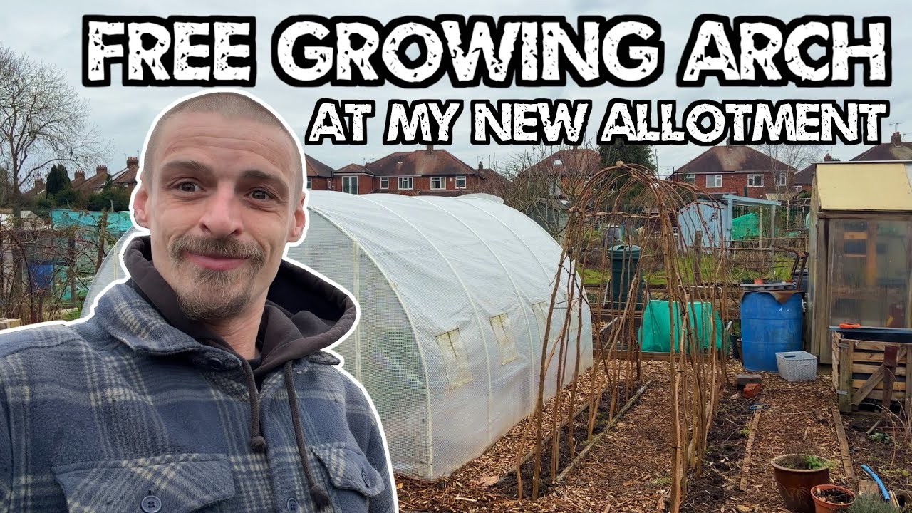 I Made A Growing Arch Out Of Free Resources At My New Allotment. (Lucky Find, Updates, Jobs +More)