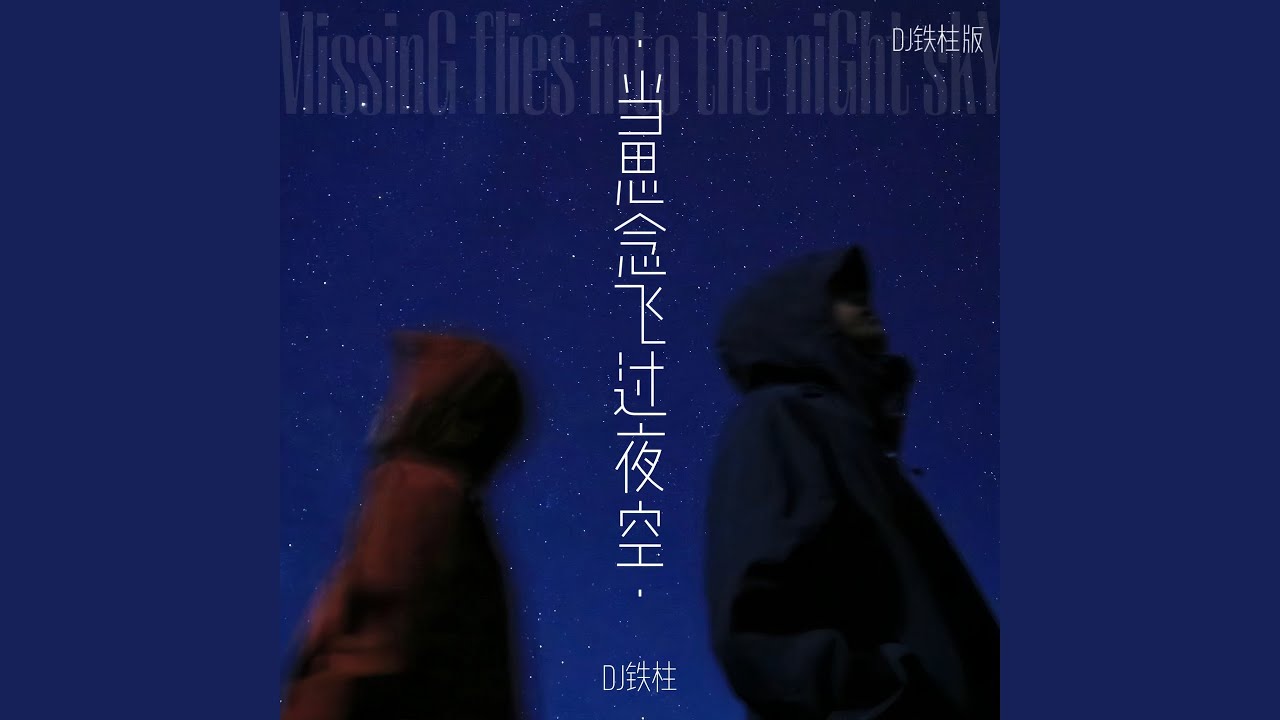 当思念飞过夜空 (Dj铁柱版)
