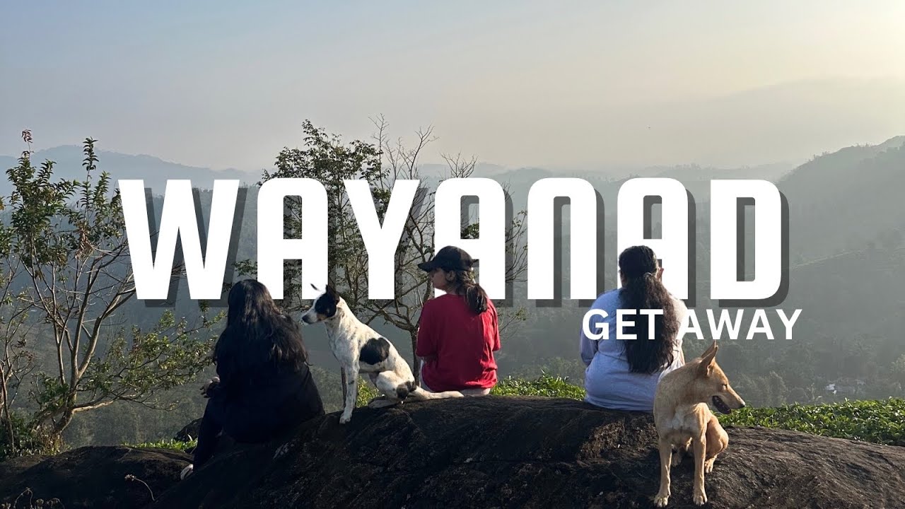Zostel Wayanad Diaries | A Calm Travel Vlog
