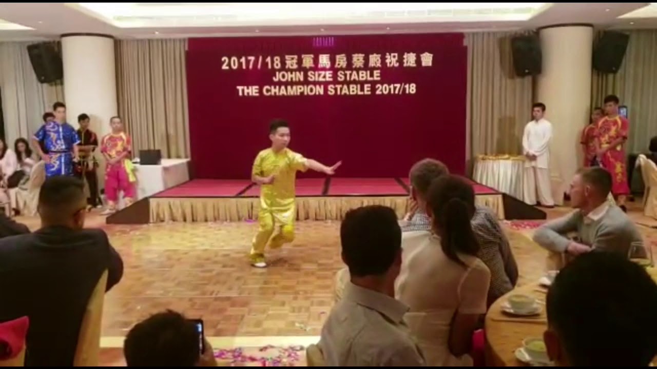 201718蔡廄梁家瑋形意拳