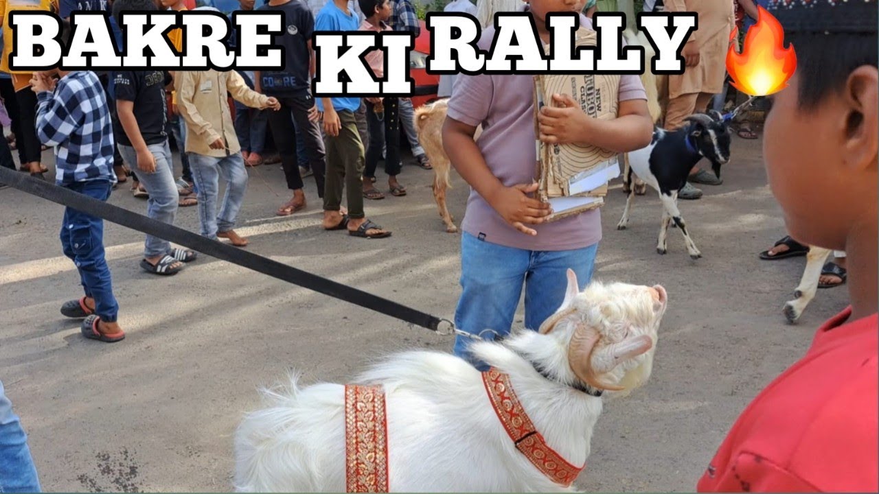PUNE KONDHWA BAKRE KI RALLY 🔥🔥🔥|| MD.ANAs.VLOGs || VLOG 53