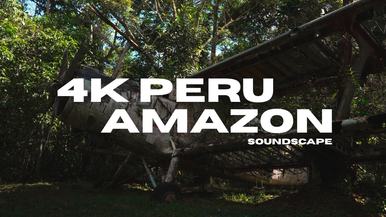 4K Peru Amazon Rainforest Soundscape | Stereo Nature Sounds for Sleep, Relaxation & Focus
