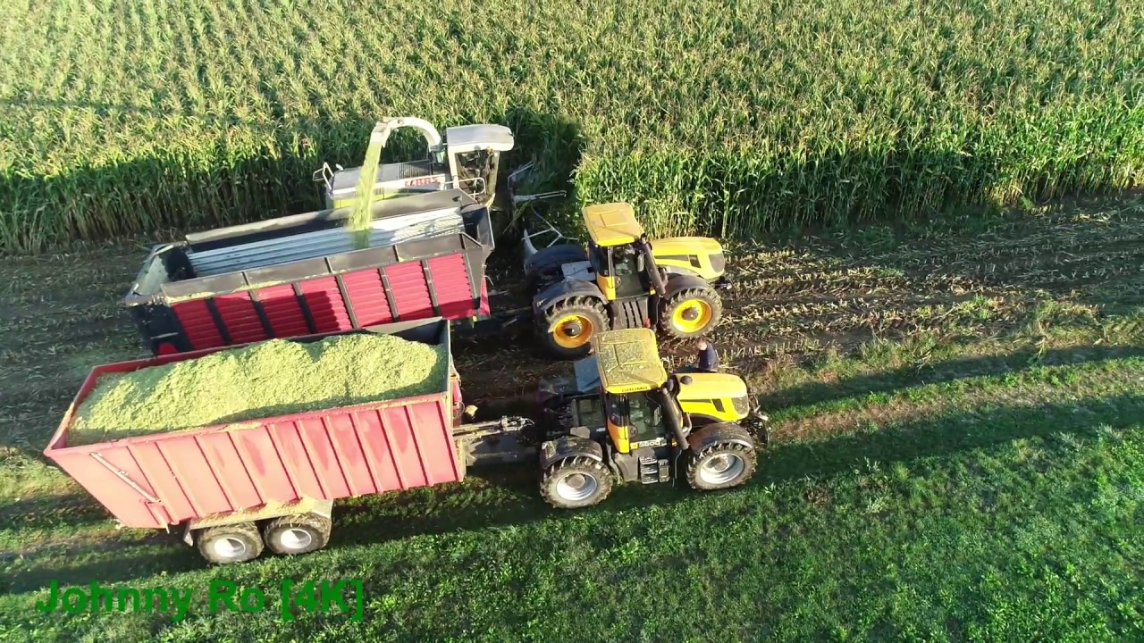 Maishäckseln 2018 Teil 6 LU Krumm mit Claas Jaguar 850, JCB [4K]