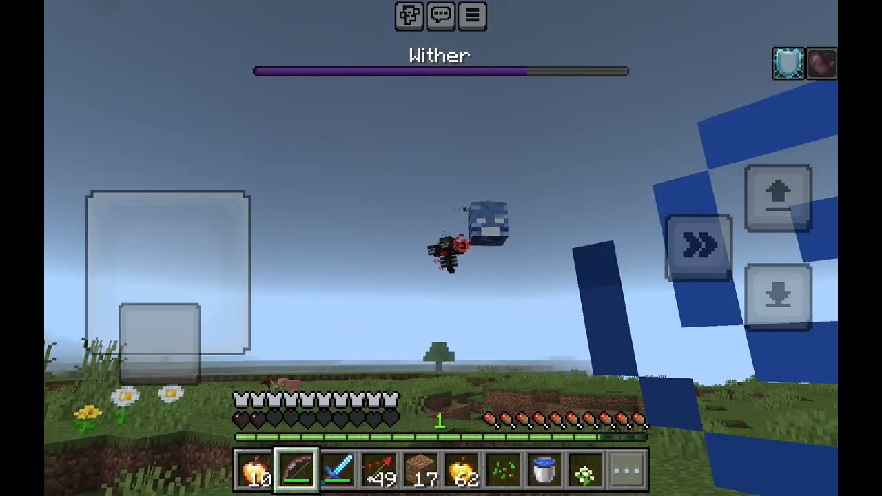 I Fought Bedrock Edition Wither 