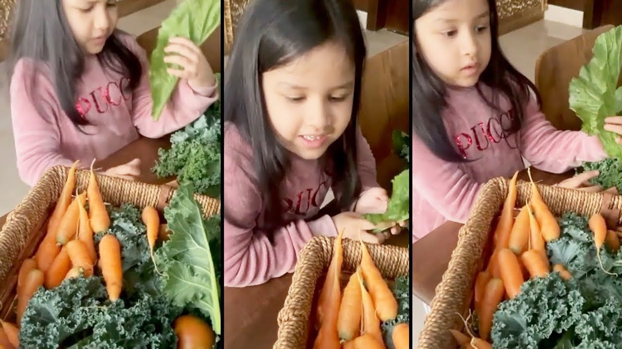Ziva Dhoni Shows Veggies Straight From Her Daddy MS Dhoni Organic Farm | Sakshi Dhoni