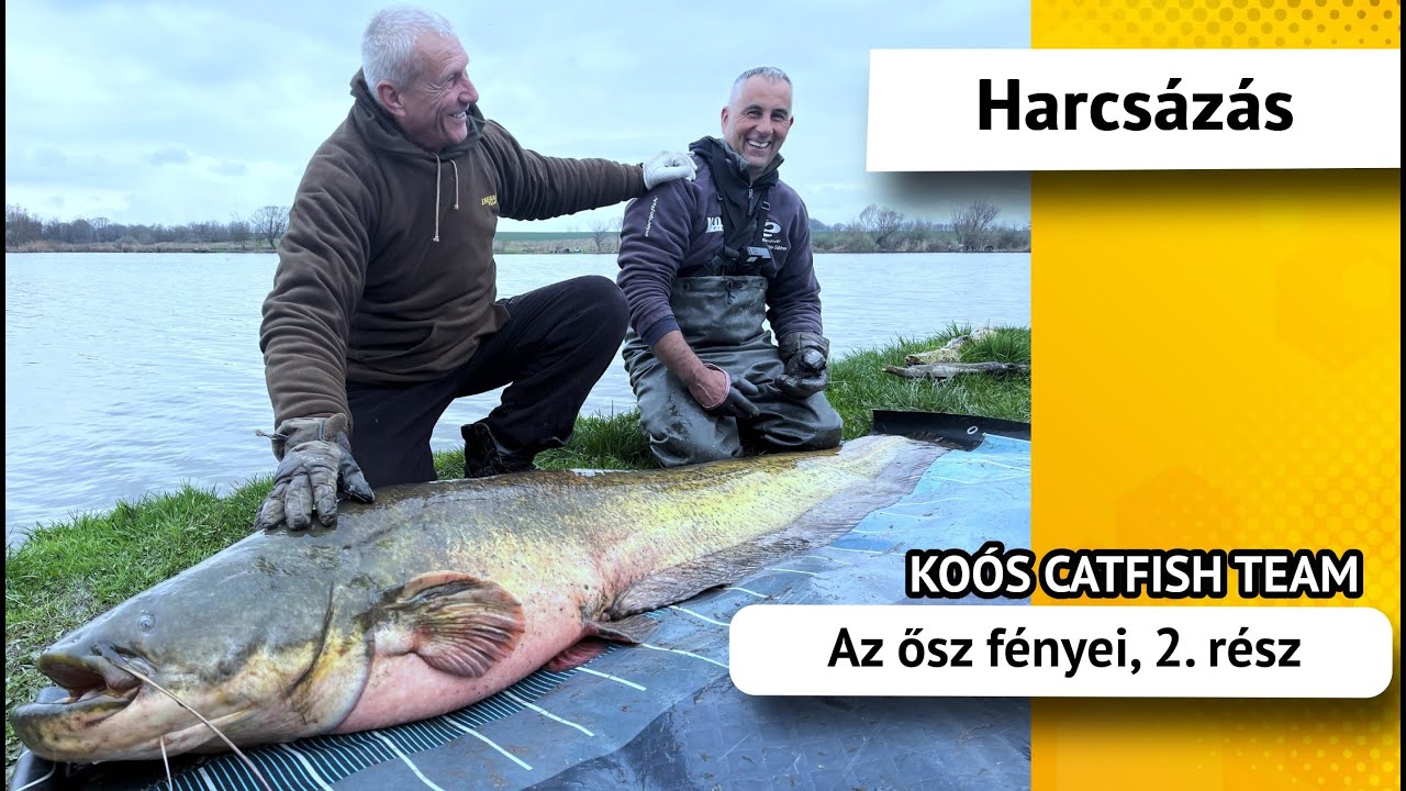 Ősz fényei, 2. rész - Koós Catfish Team