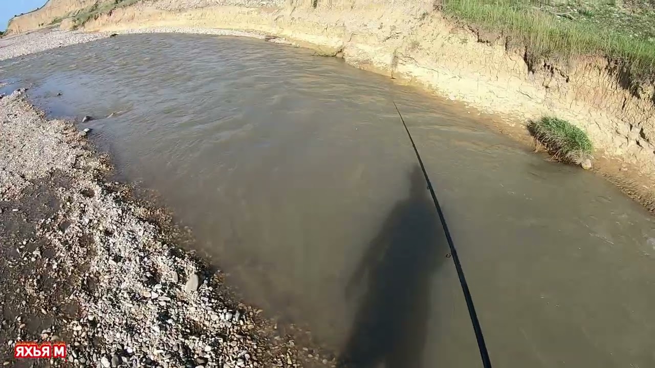 Охата на трофейного усача один из мелких рек в Дегестане (Ярык-су )