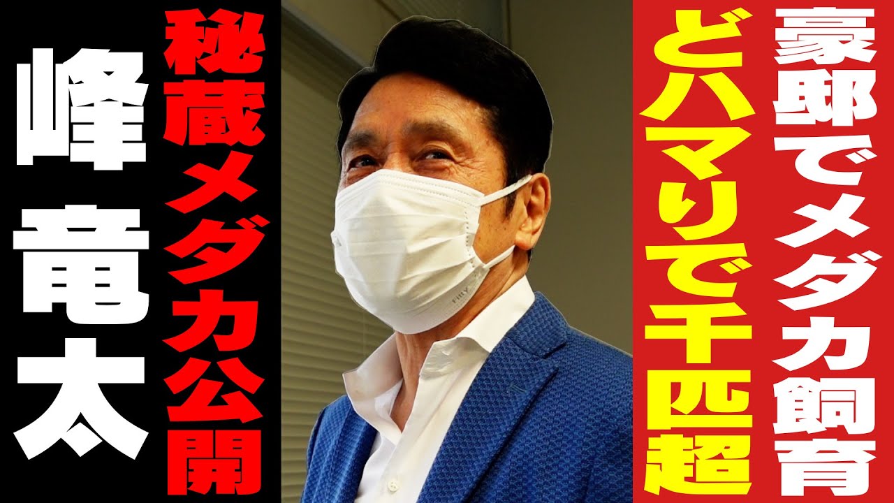 【峰竜太】生放送直前にメダカ愛爆発！/テレビ局社員とメダカ鑑賞会/食用コイから3m水槽の熱帯魚ライフ…たどり着いたメダカの世界/ドラゴンズよりメダカ（？）