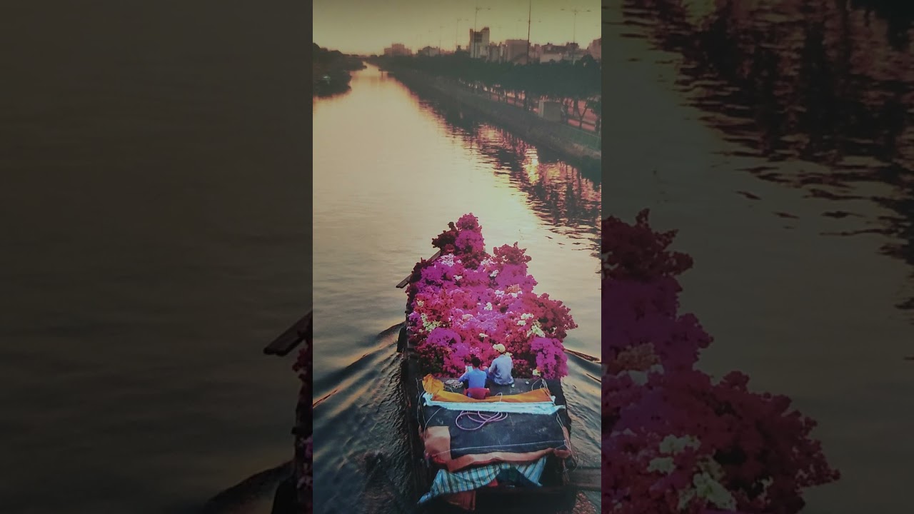 Thuyền Hoa St Phạm Thế Mỹ. Kim Hiệp cover 🌺🌺🌺