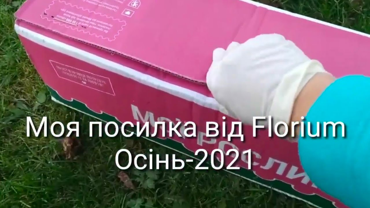Моя покупка із Florium (2021р). Запрошую до перегляду 🌸🌸🌸