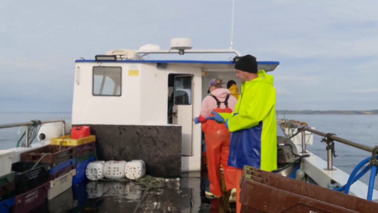 Whelk Fishing but no whelks 😂