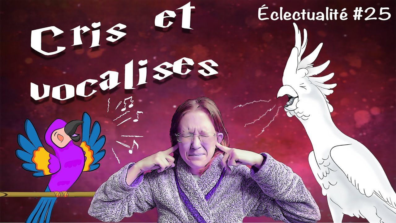 Pourquoi mon perroquet crie? (Éclectualité #25)