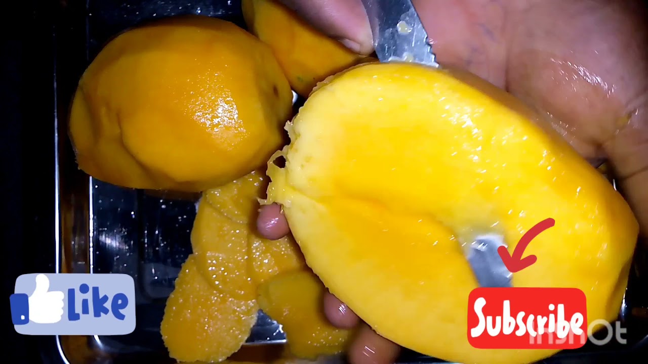 Réussir le Séchage de la mangue de A a Z (Valorisation des produits agricoles)