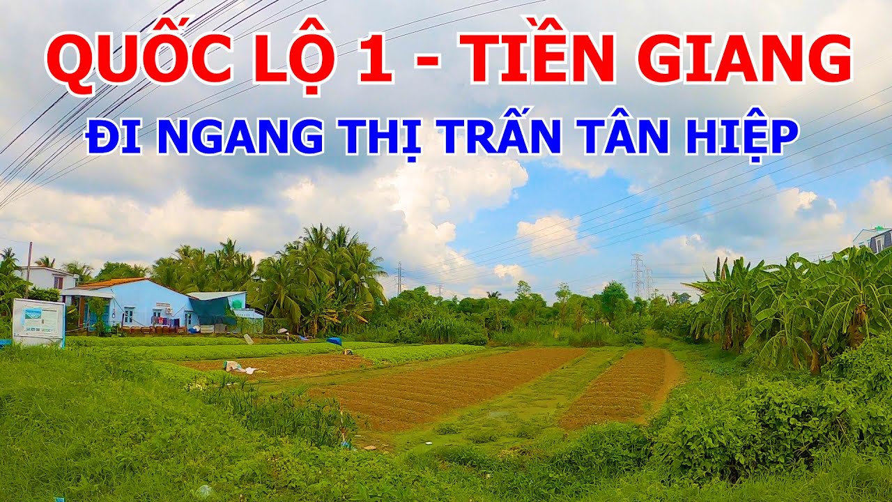 CHỢ TÂN LÝ TÂY - QUỐC LỘ 1 - THỊ TRẤN TÂN HIỆP - NGÃ TƯ LƯƠNG PHÚ | TIỀN GIANG 04-08-2024