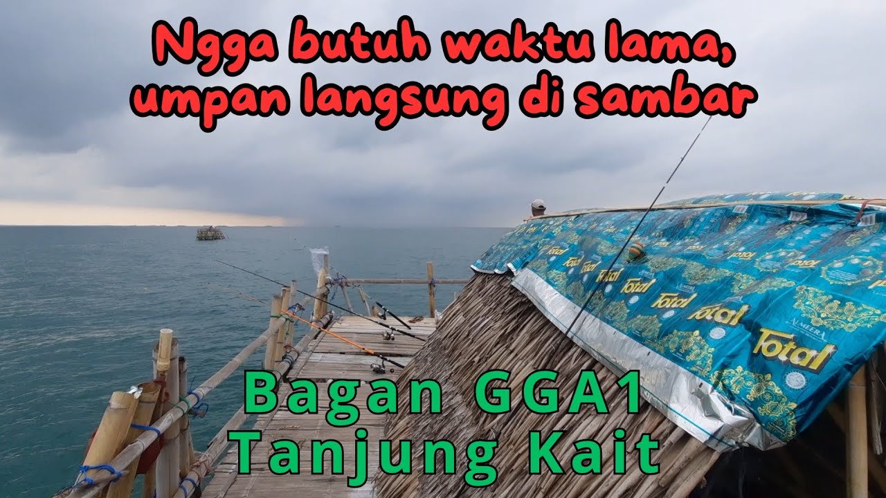 Mancing di Bagan Saat Cuaca Tak Menentu, Tetap Auto Strike‼️‼️