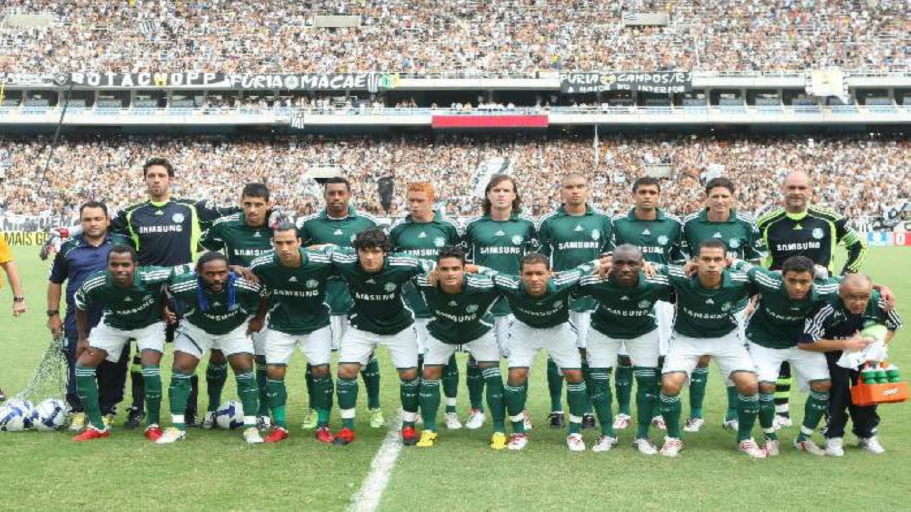 Palmeiras no Brasileiro 2009