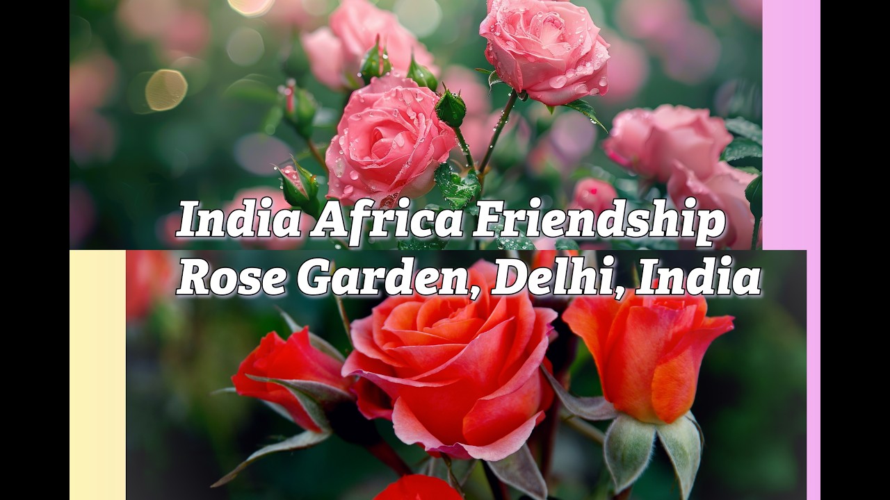 Garden of unity|  Discovering the INDIA AFRICA FRIENDSHIP ROSE GARDEN, DELHI