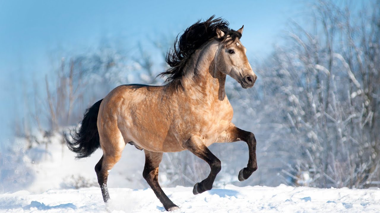 Let&rsquo;s confuse the non equestrians 🤭