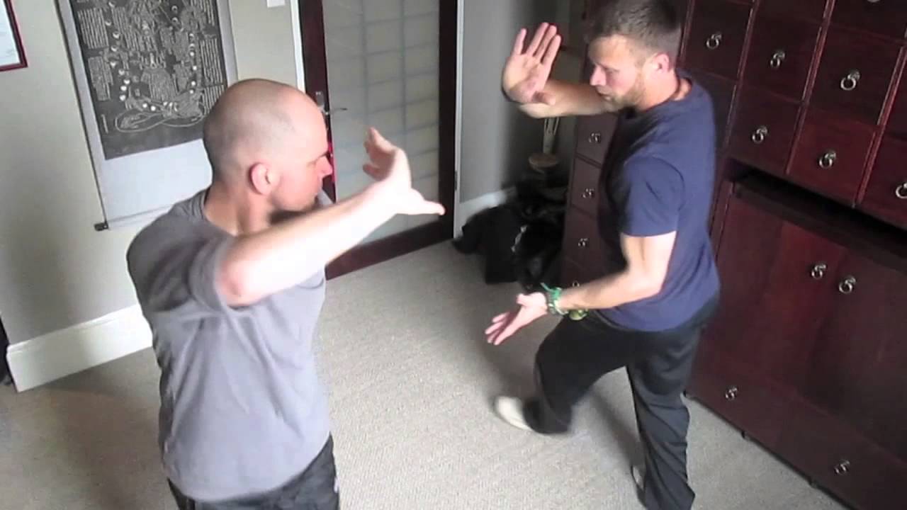Baguazhang 8 Palms partner instruction