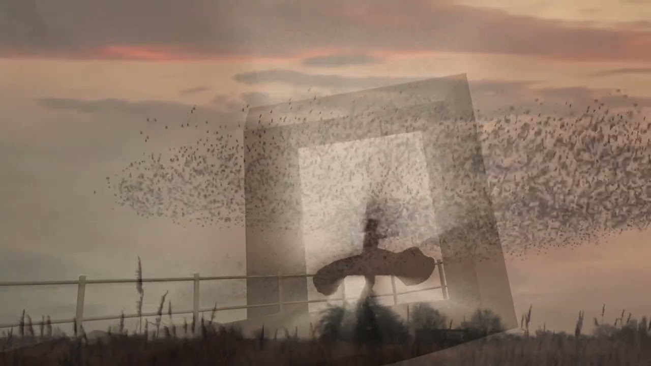Starlings and Whirling Dance, Northern Sky