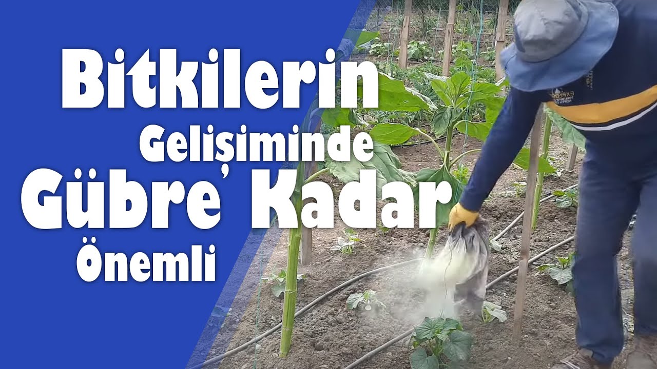 Bitkilerin Gelişiminde Gübre Kadar Önemli