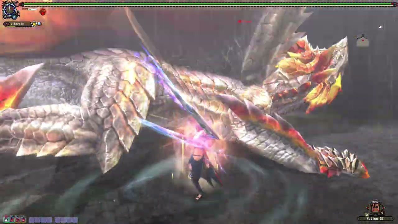 [MHF-ZZ] Musou Guanzorumu w/Dual Blade(solo)