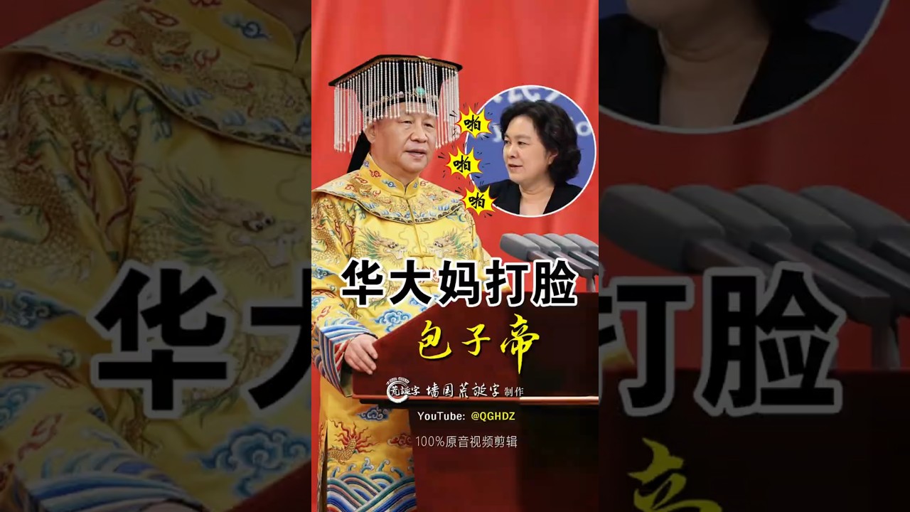 华大妈打脸包子帝！▏讽刺搞笑剪辑  ▏ Hua Dama Slaps the Baozi Emperor!  ▏Satirical Comedy Edit