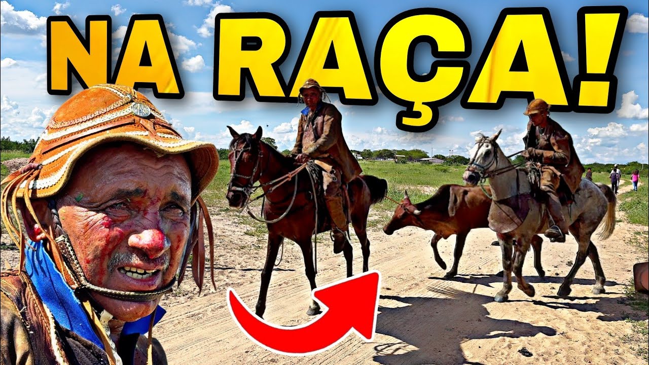 2ª PEGA DE BOI DO SÍTIO BODE ASSADO EM SALGUEIRO-PE