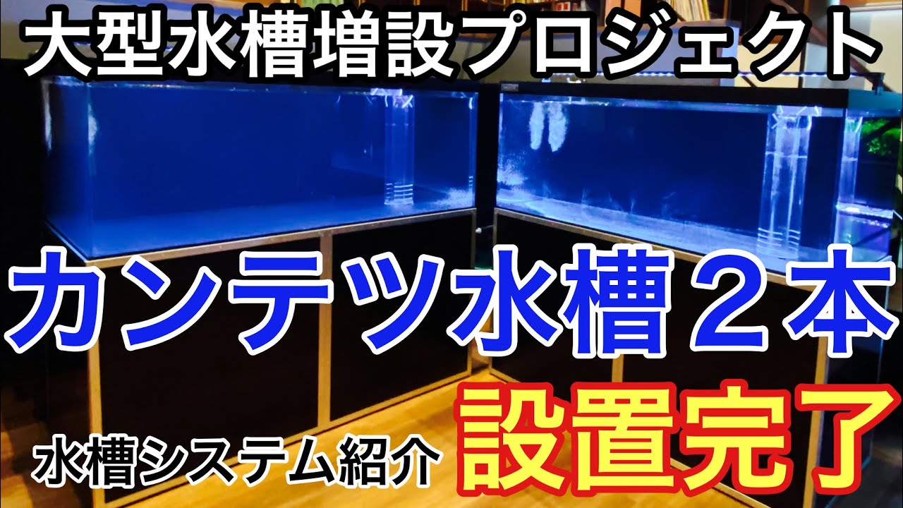 vol.73 大型水槽増設プロジェクト完結〜カンテツ水槽設置&システム紹介〜