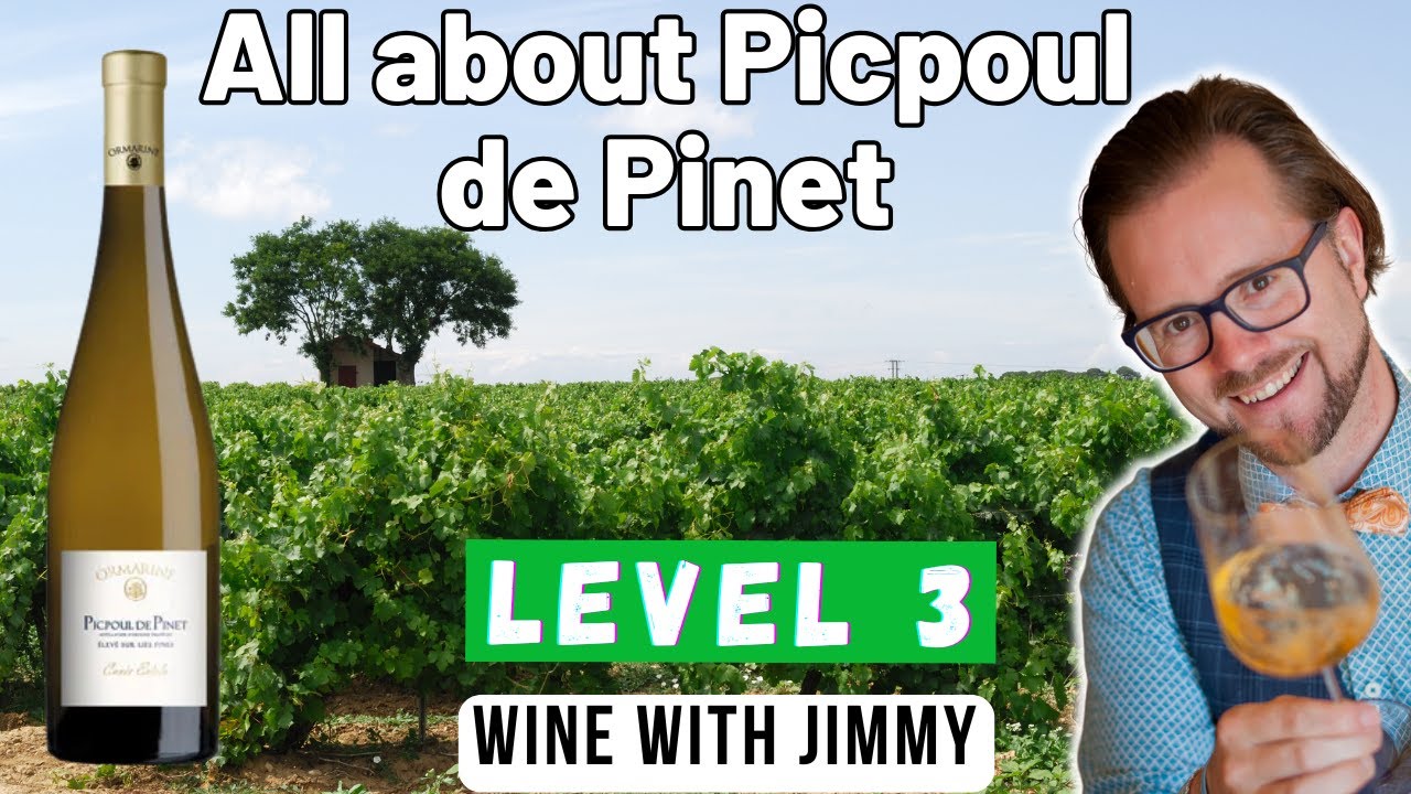 Picpoul de Pinet Explained | The Zesty French White Wine Perfect for Seafood