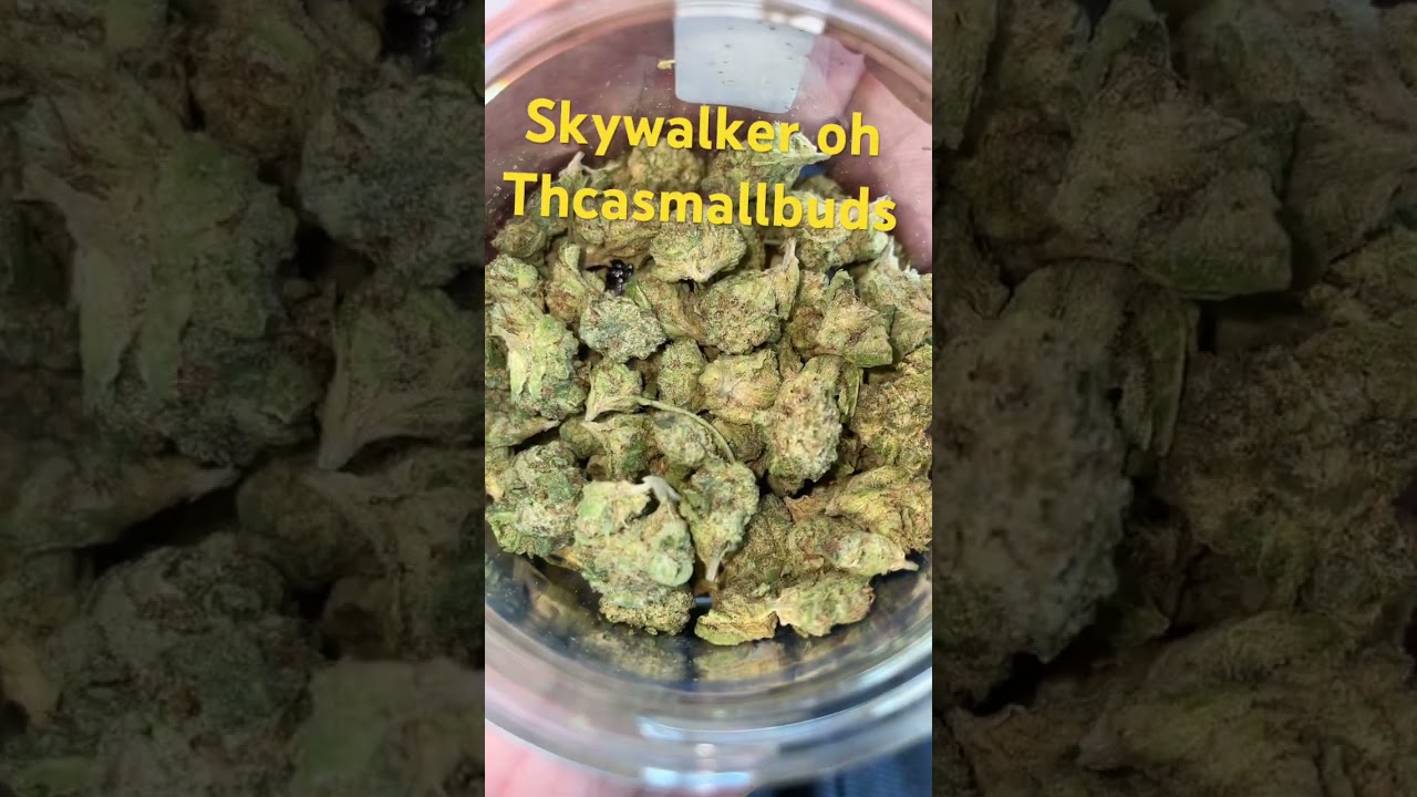 Skywalker og thcasmallbuds