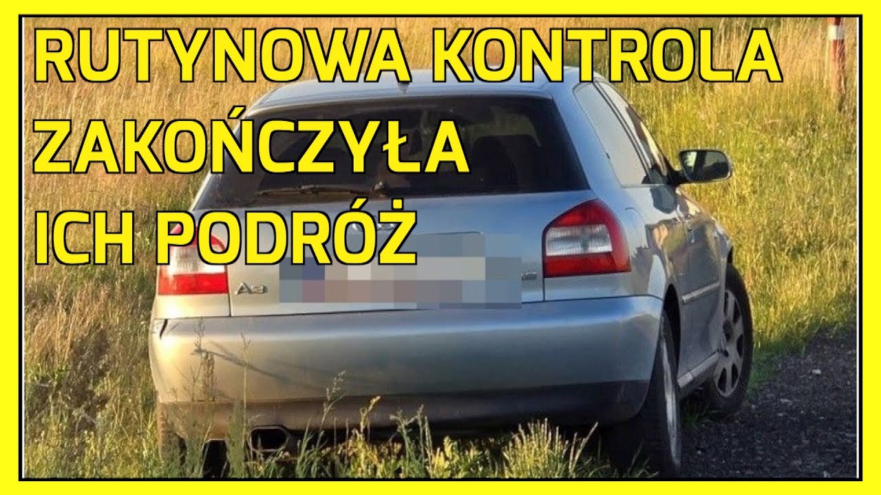 Prochowice: Narkotyki 