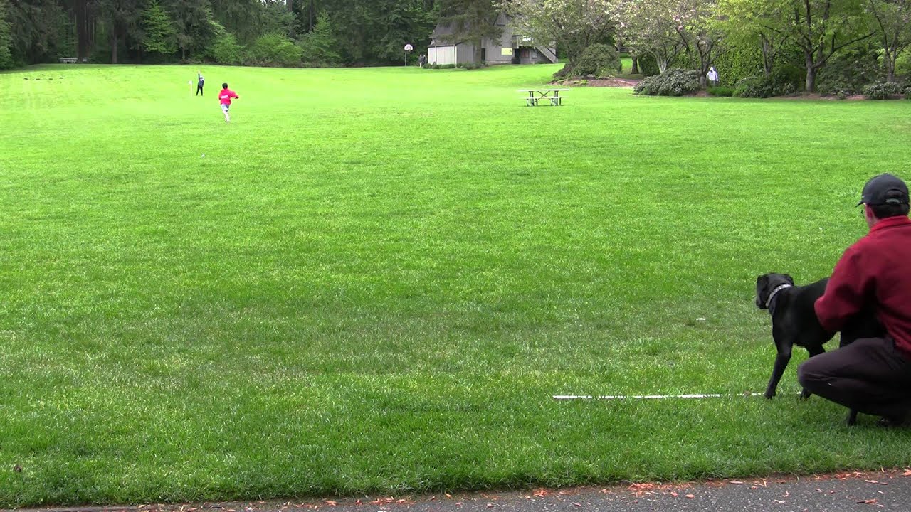 Maddy vs Usain Bolt 100m Dash m2ts