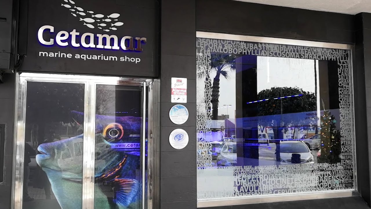 Cetamar 2020 - Visita a la nueva tienda!