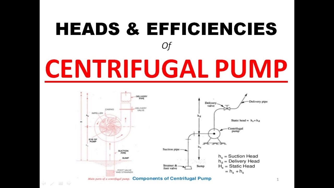 Heads and Efficiencies of Centrifugal Pump | Centrifugal pump | Fluid Mechanics