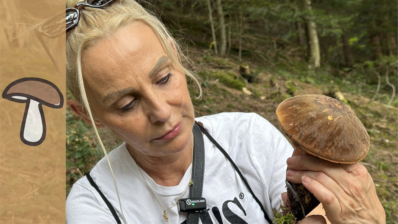 🍄TOLLE PILZTOUR - WAS WILL MAN MEHR