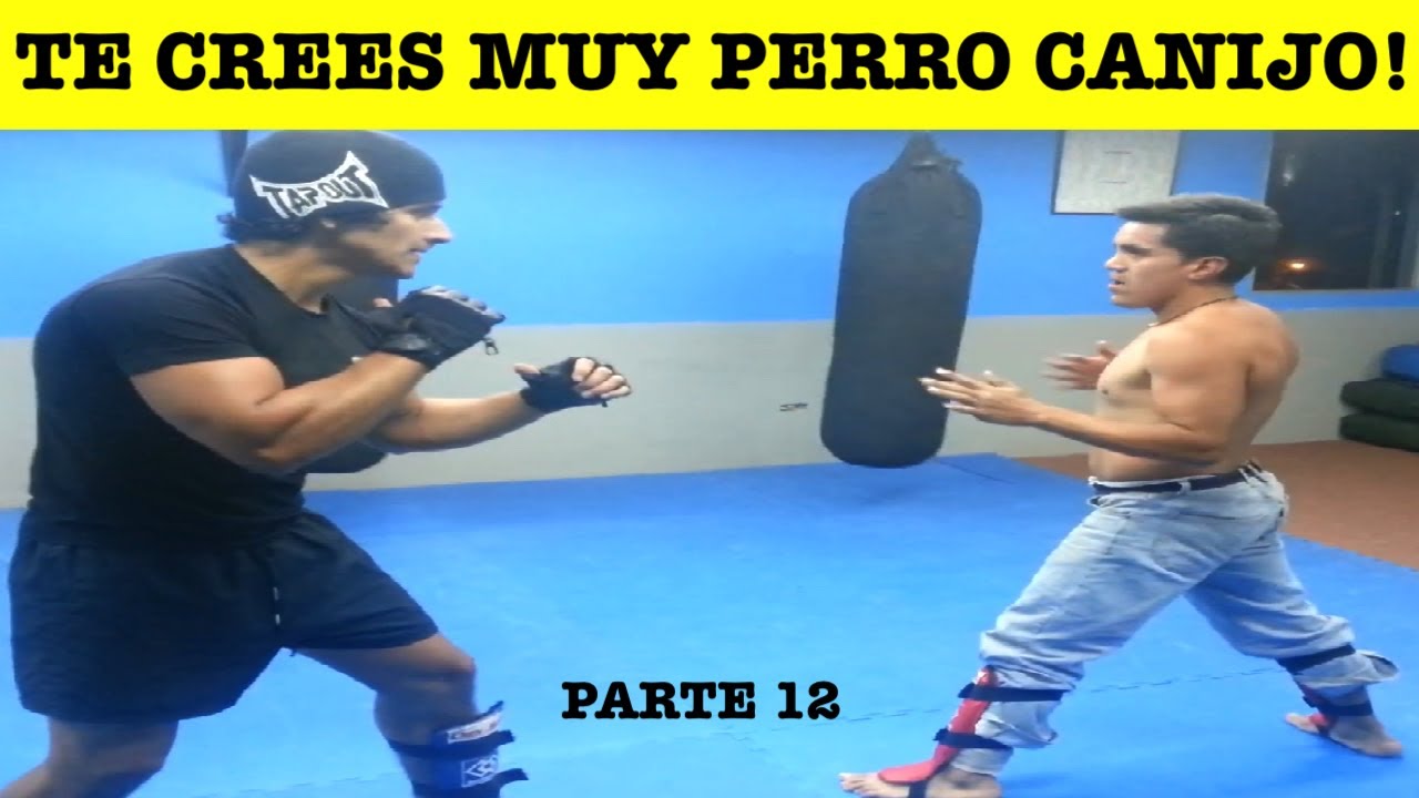 Top 10 Idiotas Que Retaron A Profesionales Y Fueron Destruidos