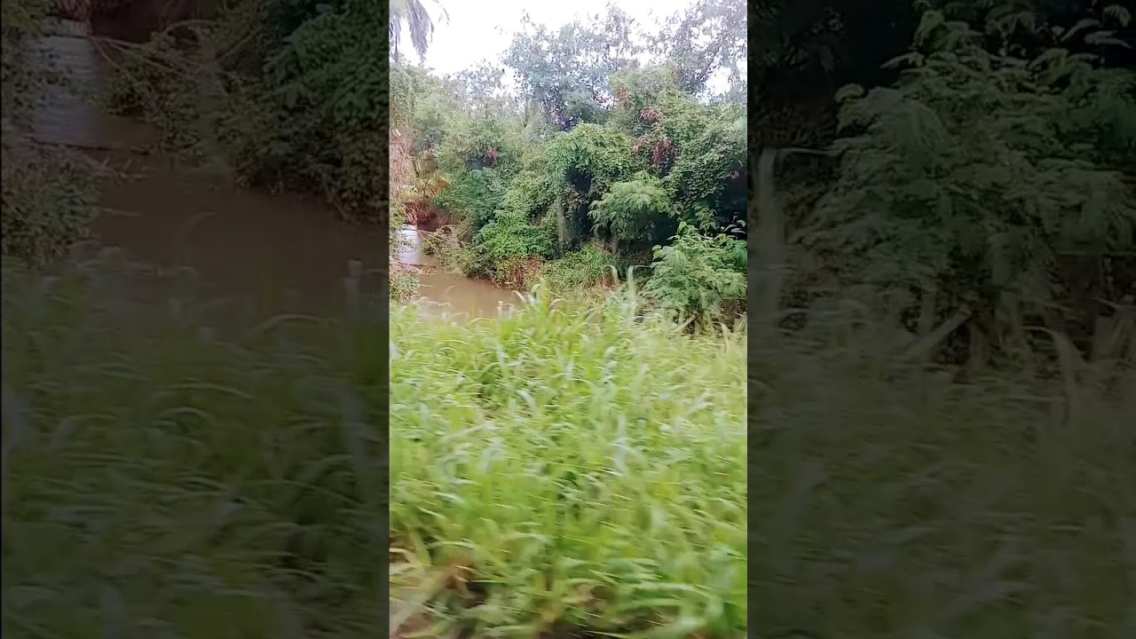 Rural sri lanka 