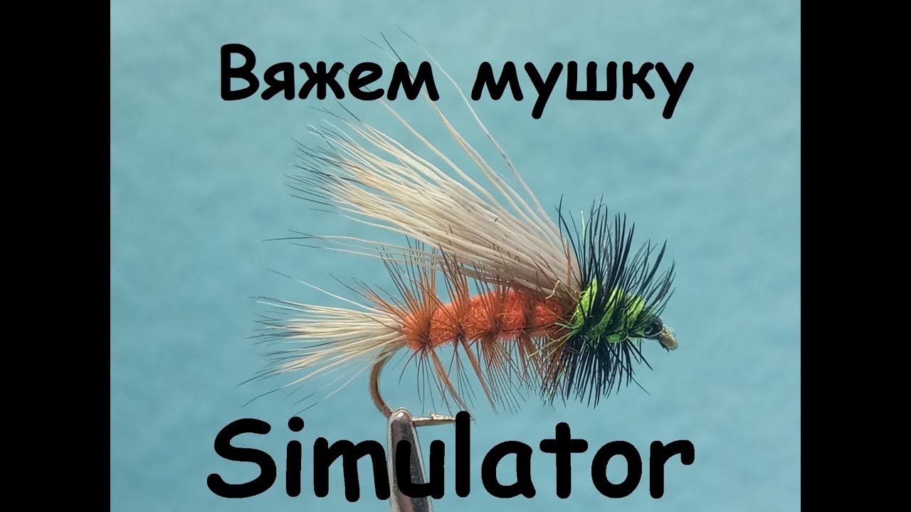 По классике. Simulator  - лучшая мушка на голавля! Как правильно: симулятор или стимулятор?